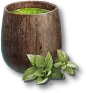 Água com Hortelã