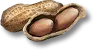 Amendoim